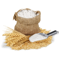 Wheat Flour