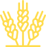 10+ premium-quality agricultural commodities